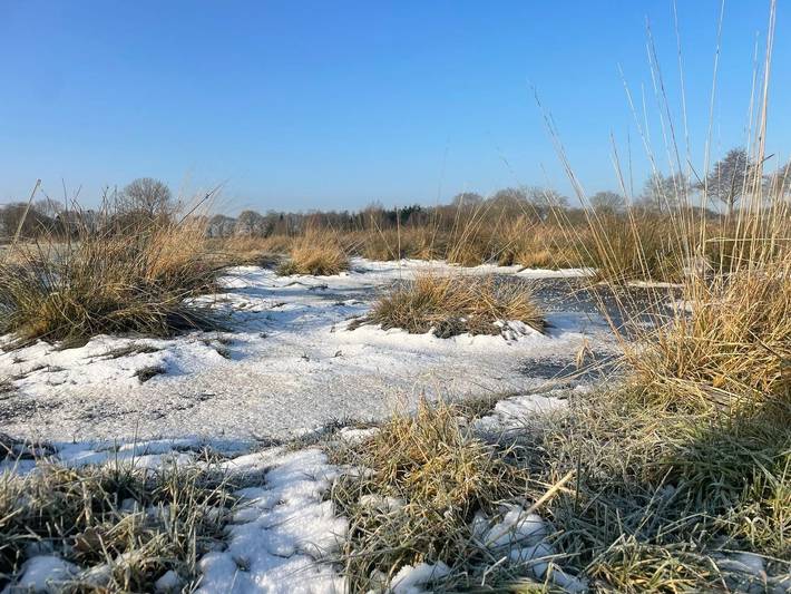 Bauernhaus für 6 Personen, mit Terrasse und Garten, mit Haustier in Varel - 2