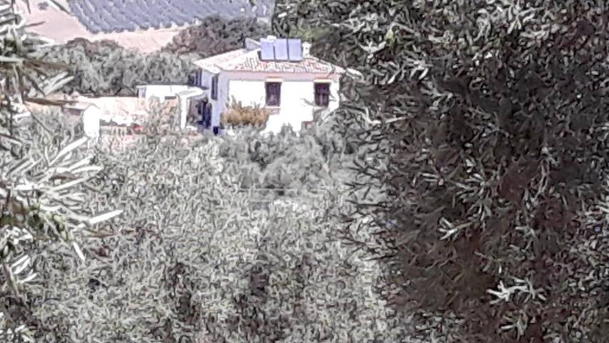 Casa rural para 10 personas, con Balcón y Terraza además de Jardín y Piscina en Villanueva del Rosario - 3