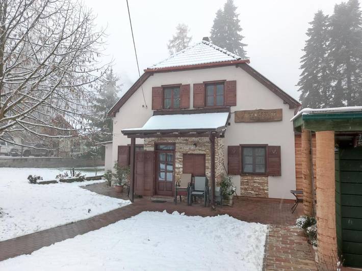 Pension voor 16 personen, with tuin and whirlpool as well as sauna in Hongarije