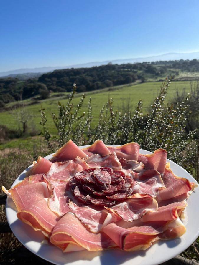 Agriturismo Sa Pigalva in Tula, Province de Sassari
