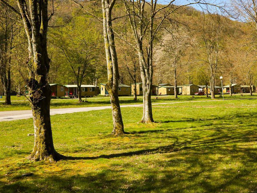 Domaine d'Haulmé - Chalet 4 personas - Chalet de alquiler de 2 dormitorios con cocina y aseo independiente in Haulmé, Parc naturel régional des Ardennes