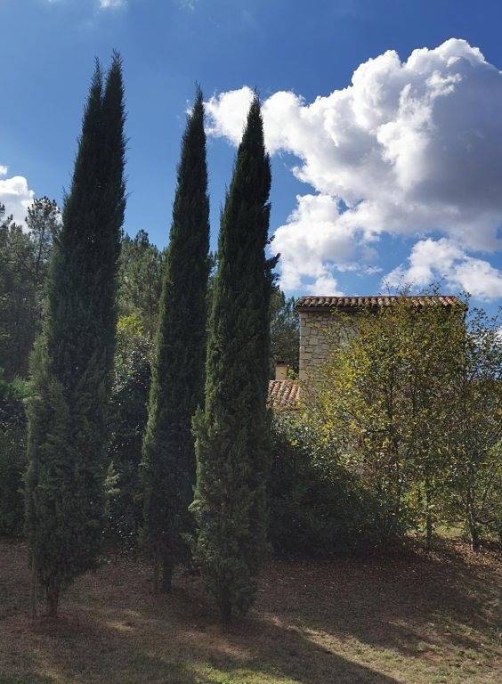 Chambres d'hôtes Domaine des 3 Cyprès - Mimosa in Fumel, Région de Villeneuve-sur-Lot