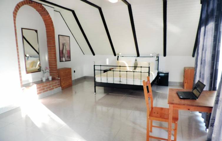 Ferienhaus für 10 Personen, mit Pool und Seeblick sowie Ausblick und Garten, mit Haustier in Siofok - 3