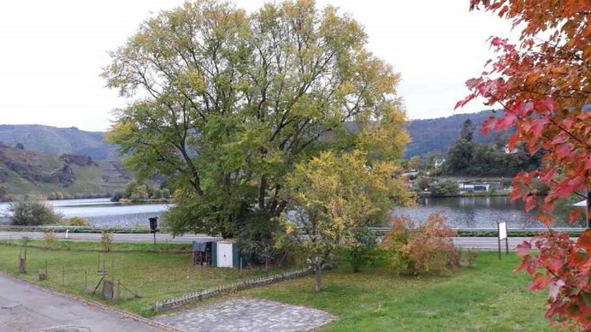 Ferienhaus für 4 Personen, mit Balkon und Terrasse sowie Garten in Mehring