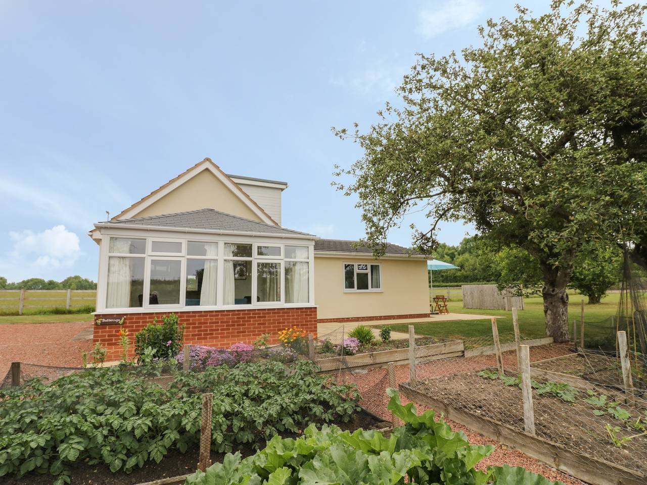 Buttercups at Midway in Worcestershire