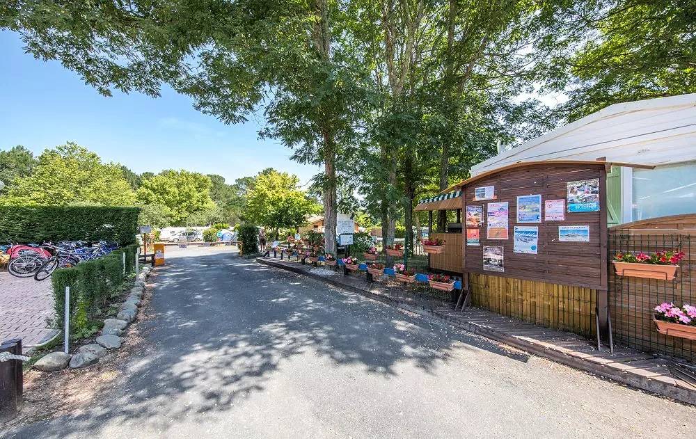 Entire apartment, Tiny Lodge 3 Rooms 5 people in Cazaux, La Teste-de-Buch