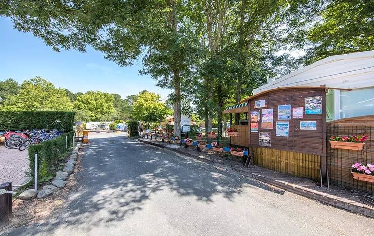 Location de vacances pour 5 personnes, avec terrasse, animaux acceptés dans Cazaux