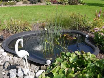 Zimmer für 2 Personen in Bad Driburg, Weserbergland, Bild 3