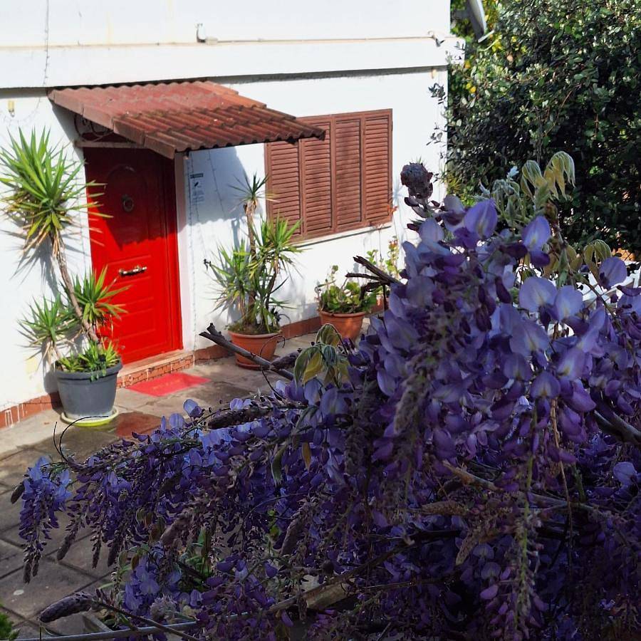 Giallo Limone B&B in Salerno, Costa tirrenica Campania