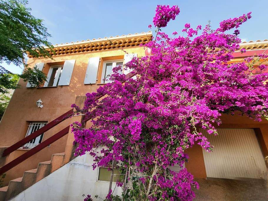 Three-Bedroom Villa in La Garde, Côte méditerranéenne (France)
