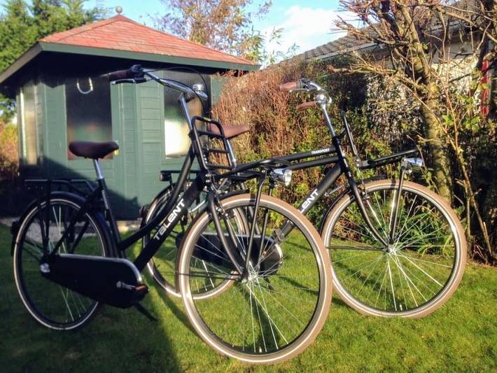 Ferienhaus für 4 Personen, mit Garten in Petten - 3