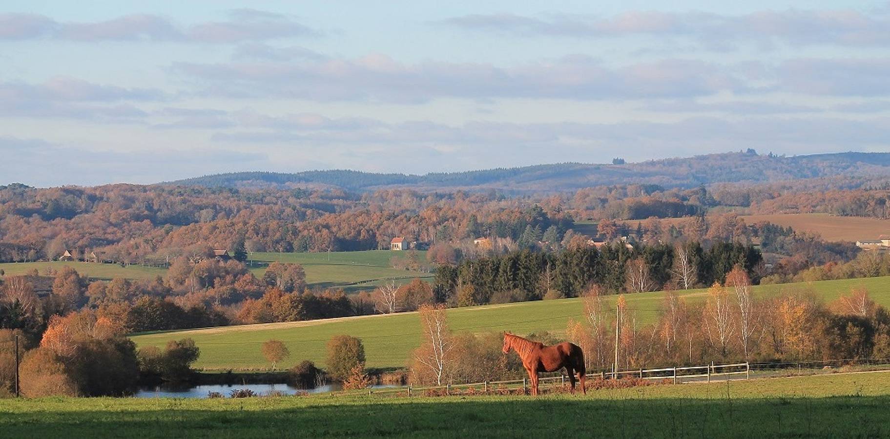 Gîte pour 7 personnes avec piscine in Jumilhac-le-Grand, Parc naturel régional Périgord-Limousin