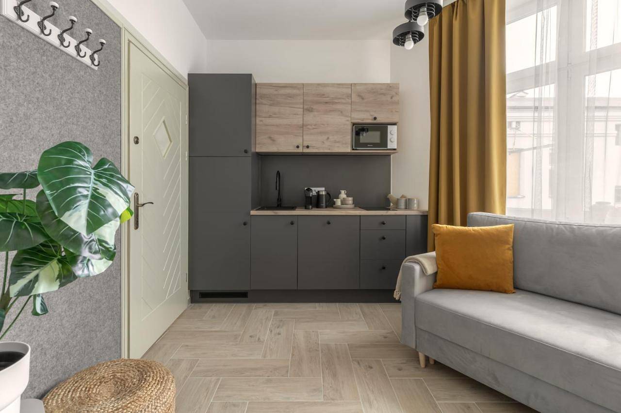 Cały apartament, One-Bedroom Standard Apartment in Sosnowiec, Śląsk
