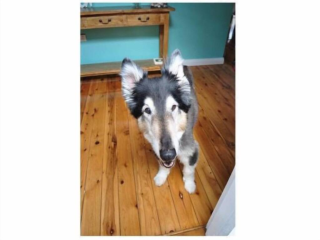 Ettalong Blu - befindet sich am Strand von Ettalong in Ettalong Beach, New South Wales