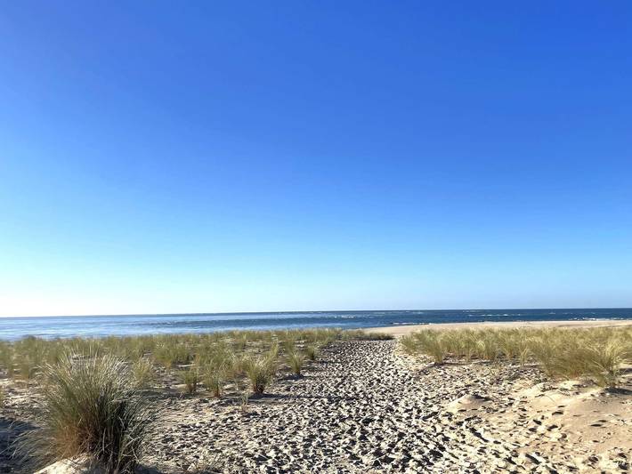 Gîte pour 4 personnes, avec piscine au Cap Ferret - 4