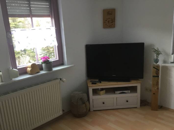Gîte pour 3 personnes, adapté aux familles dans Schonach (Ville) - 4