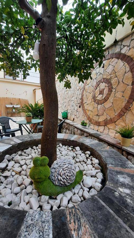 Maison d’hôte pour 3 personnes, avec jardin à Itri - 4