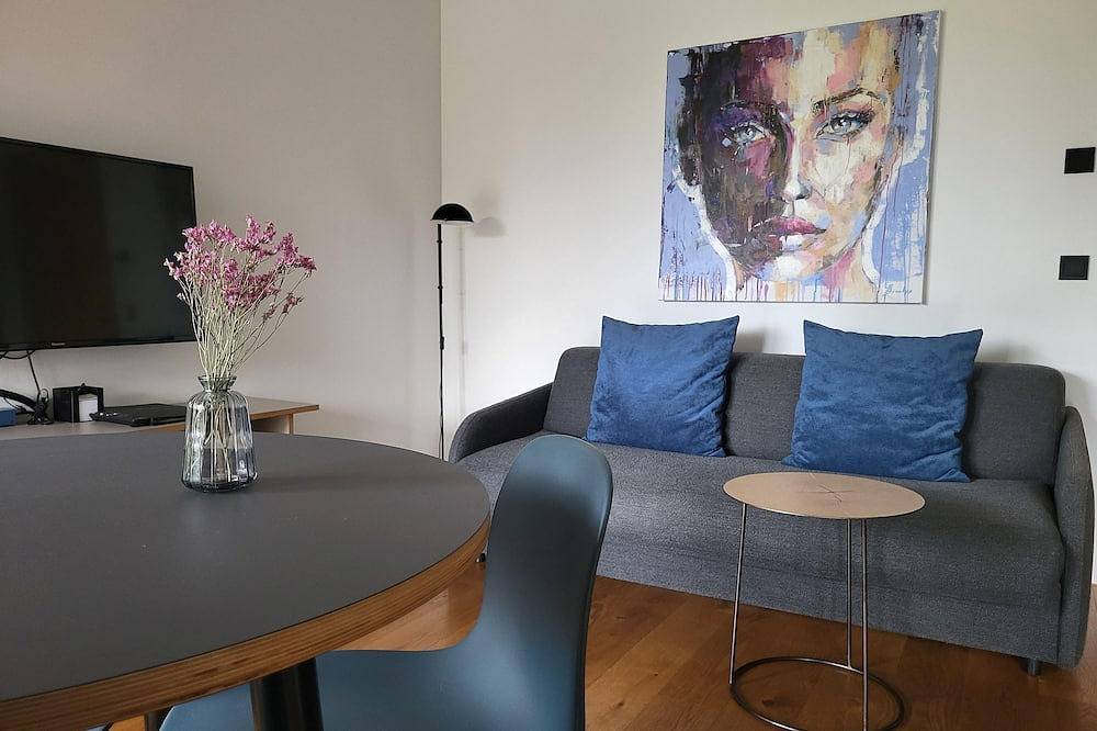 Ganze Wohnung, Apartment am Ufer, 37qm, 1 Schlafzimmer, 1 Wohn-/Schlafzimmer, Loggia, max. 3 Personen in Singen, Hegau