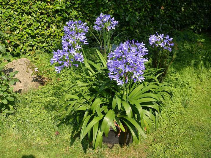 Ferienwohnung für 2 Personen, mit Garten in Ratzeburger See - 3