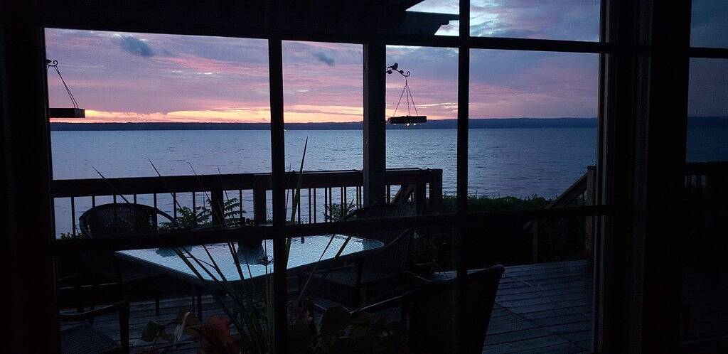 Spektakuläre Aussicht auf den See bietet Privatsphäre, Ruhe und Gelassenheit! Haustierfreundlich! in Seneca Lake