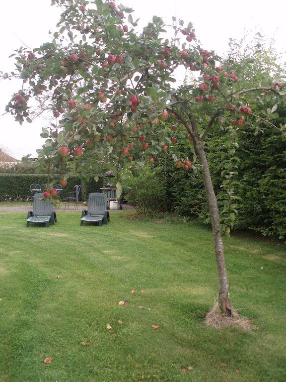 Appartement entier, Gîte La Goutte 2 pers in Courtils, Baie du Mont-Saint-Michel