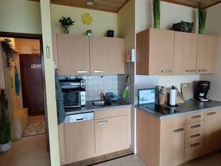 Ganze Ferienwohnung, Florian&Urban Apartmenthaus Apart 144 in Mittelkärnten