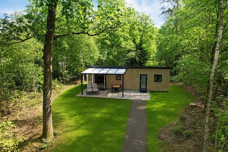 Rcn de Noordster — Chalet Lyra in Nationalpark Dwingelderveld