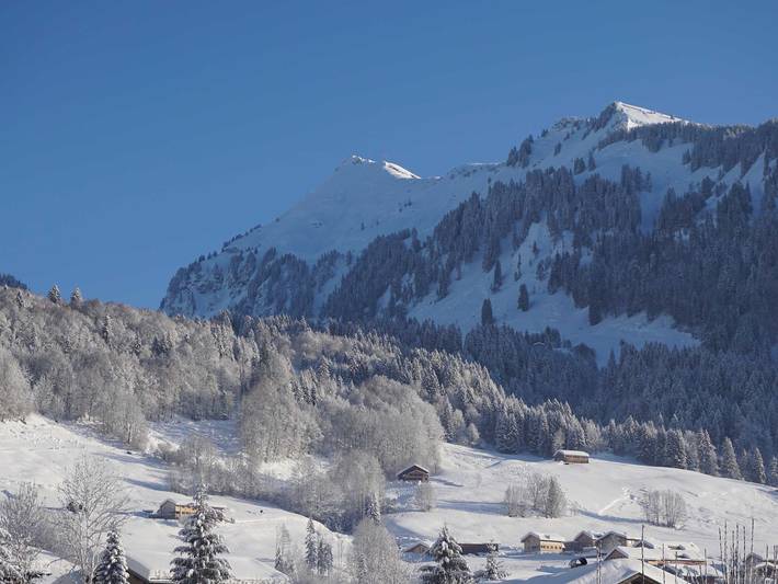 Ferienwohnung für 8 Personen, mit Garten, kinderfreundlich in Au - 4