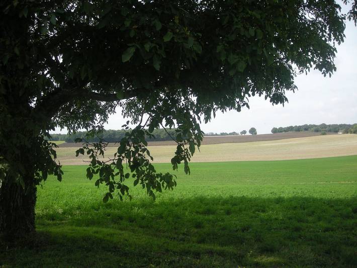 Renovierter Bauernhof in ruhiger Lage mit Internet und großem Außenbereich in Palluau-sur-Indre, Châteauroux und Umgebung