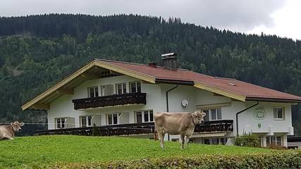 Appartement voor 4 Personen in Riezlern, Mittelberg, Afbeelding 1