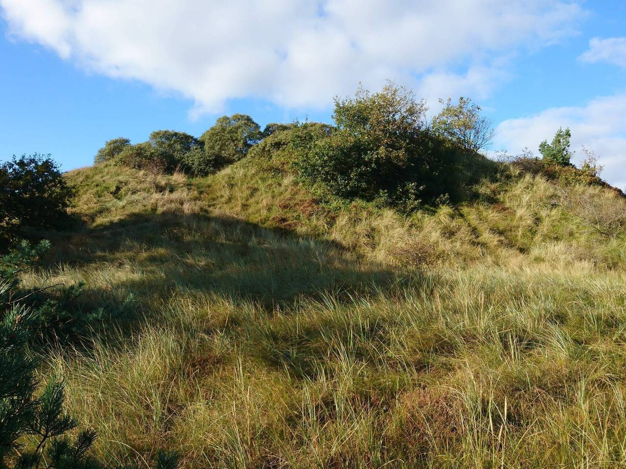 5 Personen Ferienhaus in Rømø in Kongsmark, Rømø