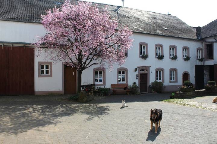 Bauernhof für 4 Personen, mit Terrasse und Garten in Rheinland-Pfalz - 3