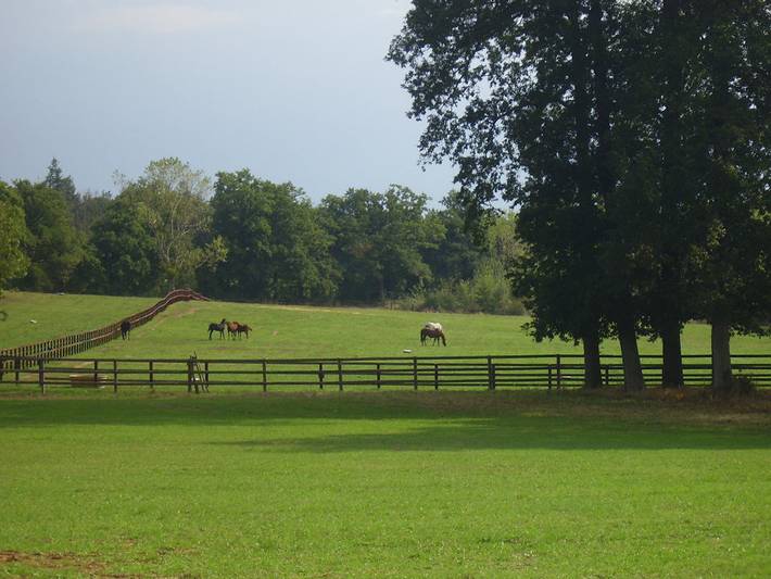 Chambre d’hôte pour 3 personnes, avec jardin dans Maine-et-Loire - 2