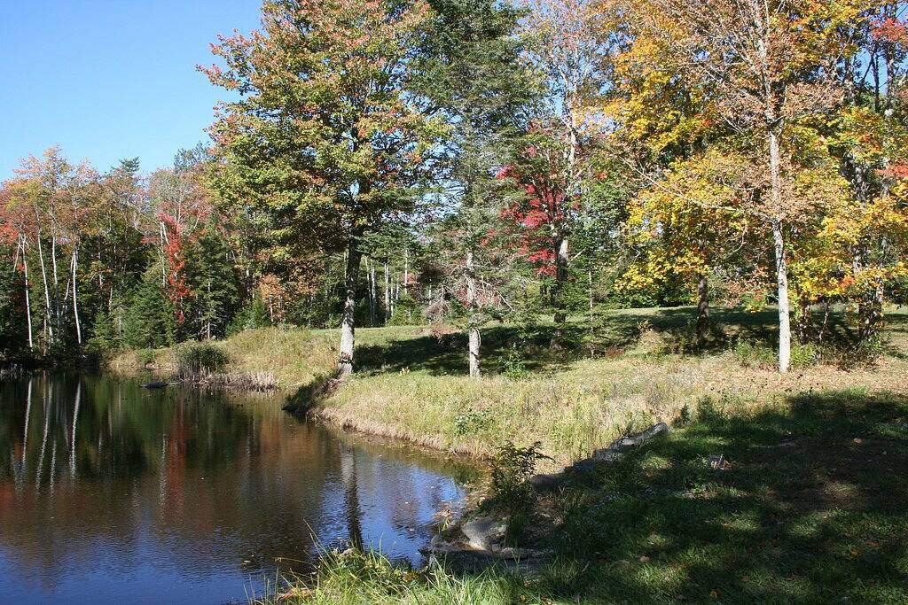 Pets Stay Free, Premier Ctg, Now Sleeps 8, Pets Free in Lincoln County (Maine)