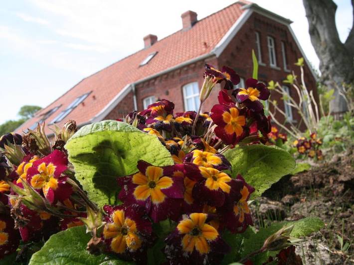Ferienhaus mit 2 Schlafzimmer in Forlitz-Blaukirchen, Südbrookmerland