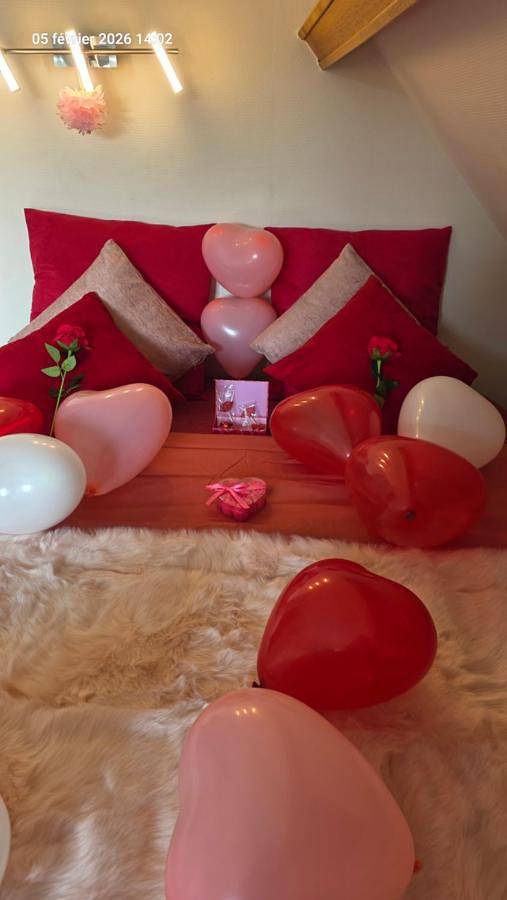 Gîte pour 4 personnes, avec vue et terrasse, animaux acceptés à Bennwihr - 2