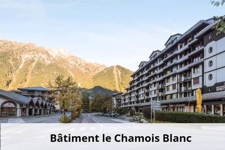 Appartamento per 5 persone, con sauna e balcone, con animali domestici in Chamonix-Mont-Blanc