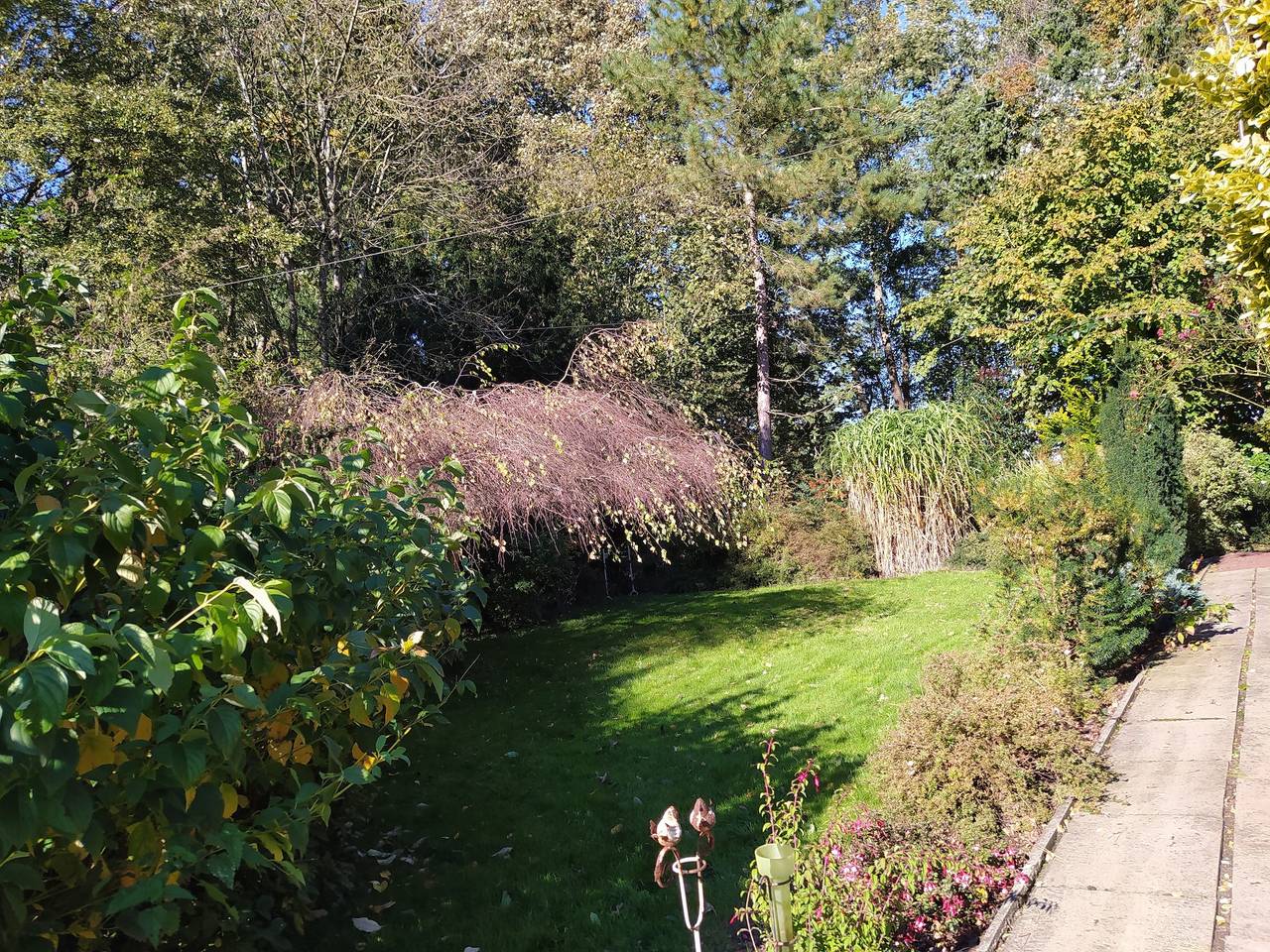 Mooroase Bauerngarten - Ovelgönne - Nordsee - Weser - Jade in Ovelgönne, Nordseeküste