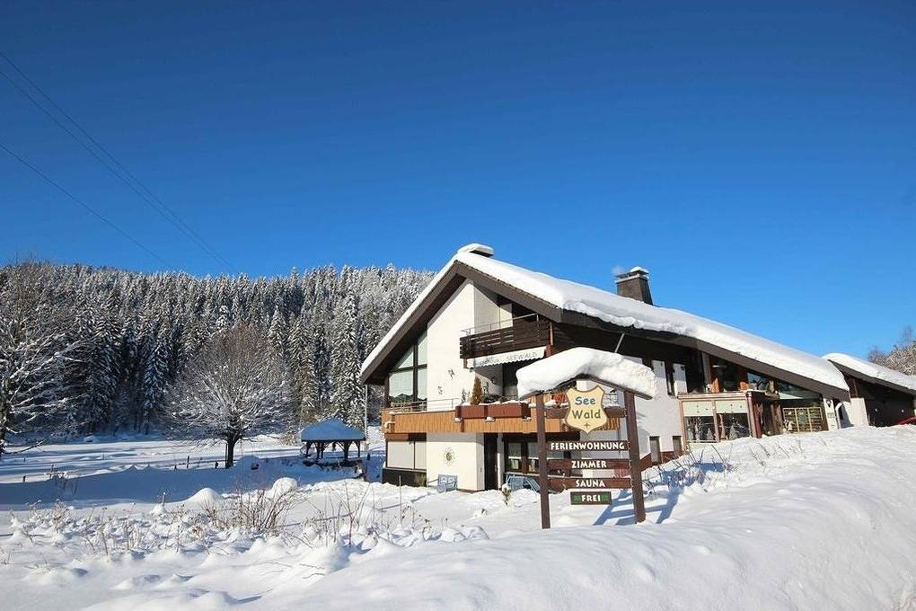 Entire holiday apartment, Holiday apartment for 4 people with terrace in Blasiwald (Schluchsee), Schluchsee