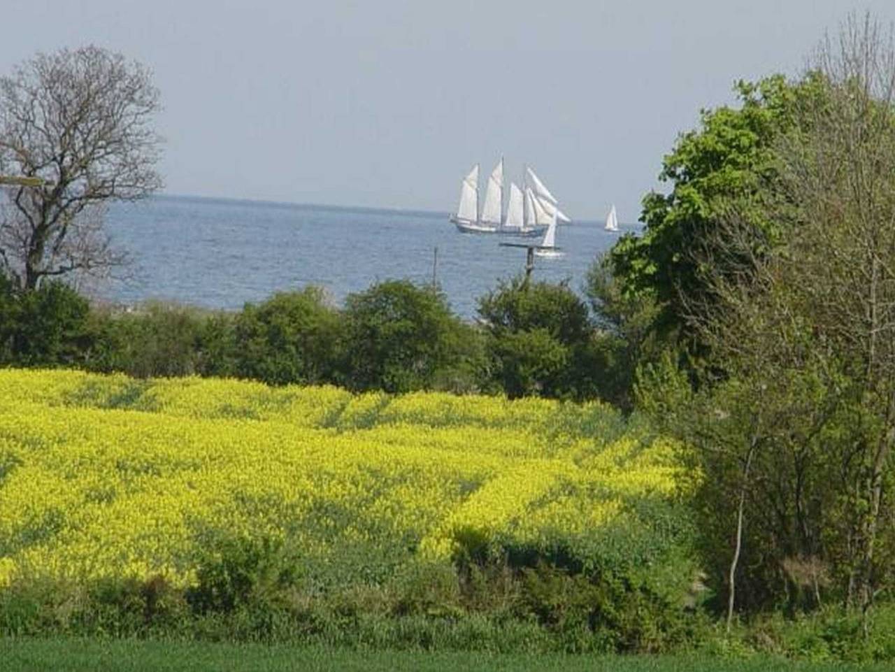 Ferienhof Jens Ferienwohnung 5 Maasholm - Ferienhof Jens Ferienwohnung 5 Maasholm in Kronsgaard, Schleswig-Flensburg