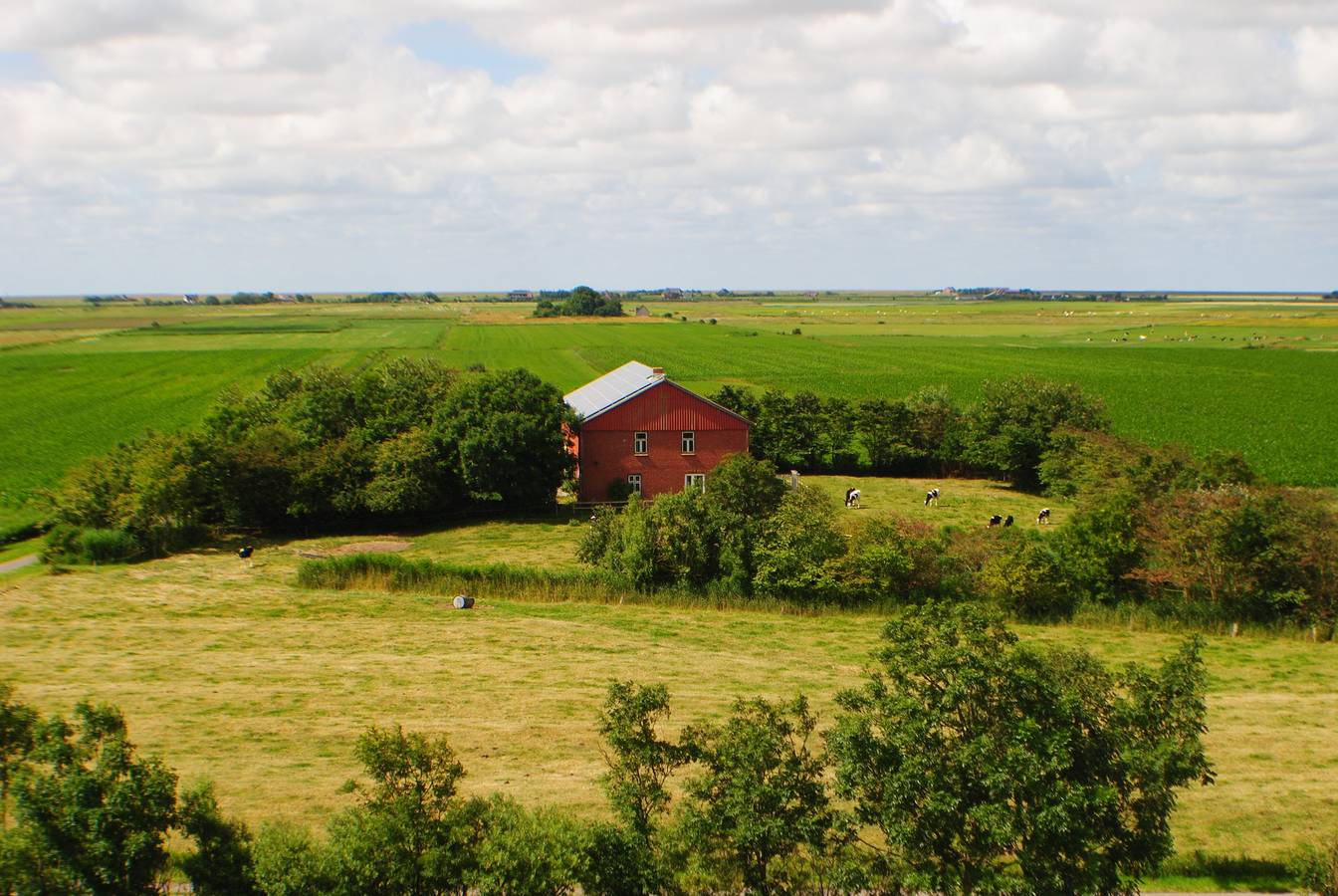 Ganze Wohnung, Apartment 'Fewo Binnen' mit Gemeinschaftsgarten und Wlan in Pellworm, Nordfriesland