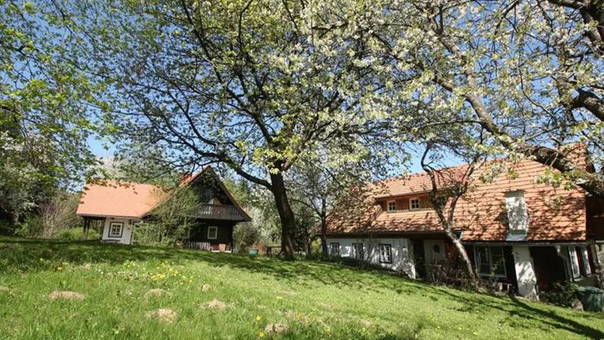 Ferienhaus für 3 Personen, mit Garten und Balkon in der Oststeiermark - 2