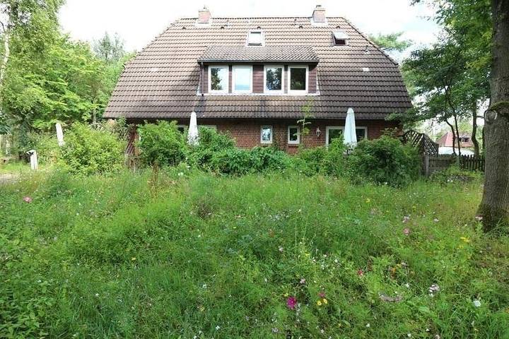 Ganze Ferienwohnung, Silbermöwen in Nordfriesische Inseln (Schleswig-Holstein) (Schleswig-Holstein), Nebel