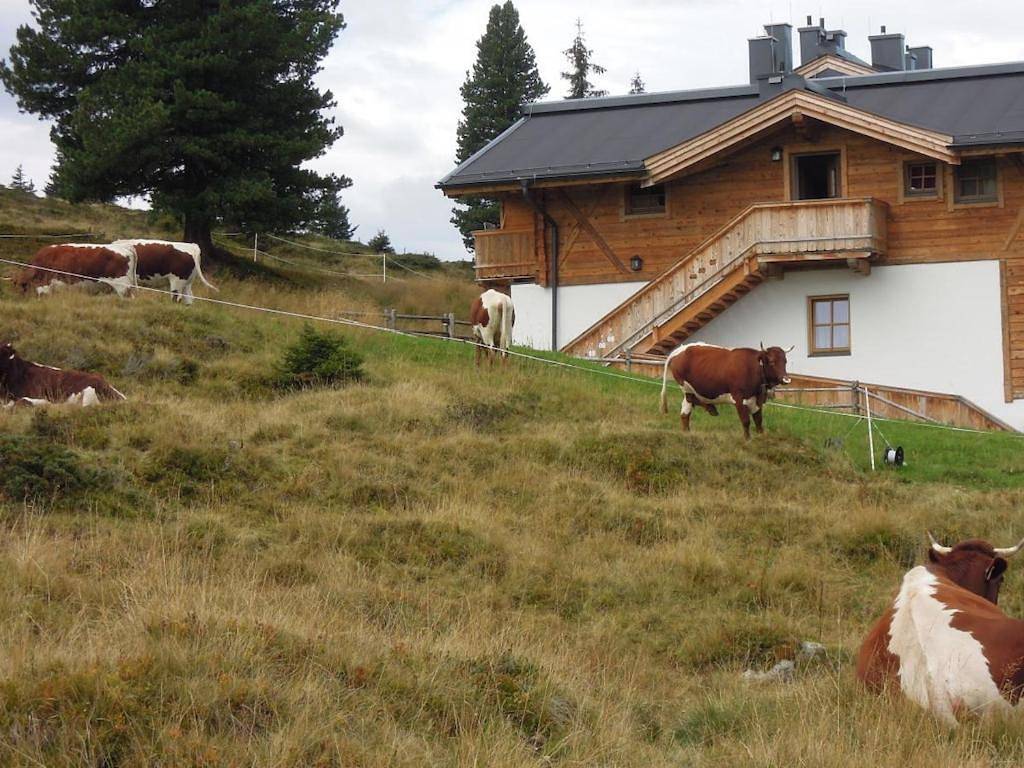 Ski lodge in Krimml with swimming pool in Hochkrimml, Krimml