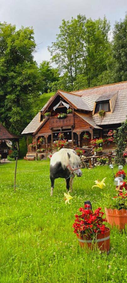 Gîte pour 3 personnes, avec vue et jardin, adapté aux familles