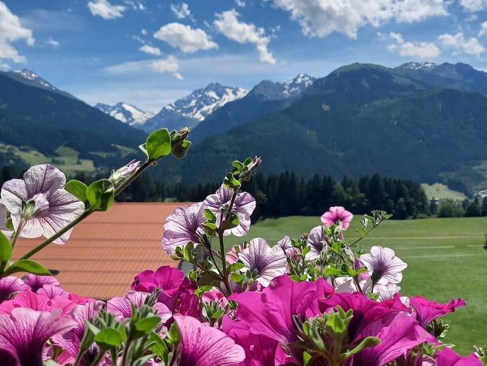 Bergliebe Schranzlhof in Hollersbach im Pinzgau, Pinzgau