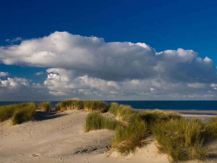 Ster - Ster 200.1 in Wissenkerke, Zeeuwse Kust