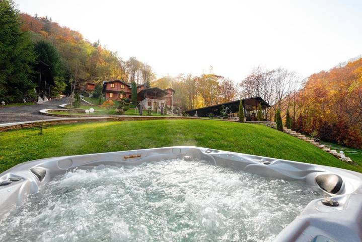 Villa pour 14 personnes, avec jacuzzi et piscine ainsi que jardin et balcon en Roumanie - 4