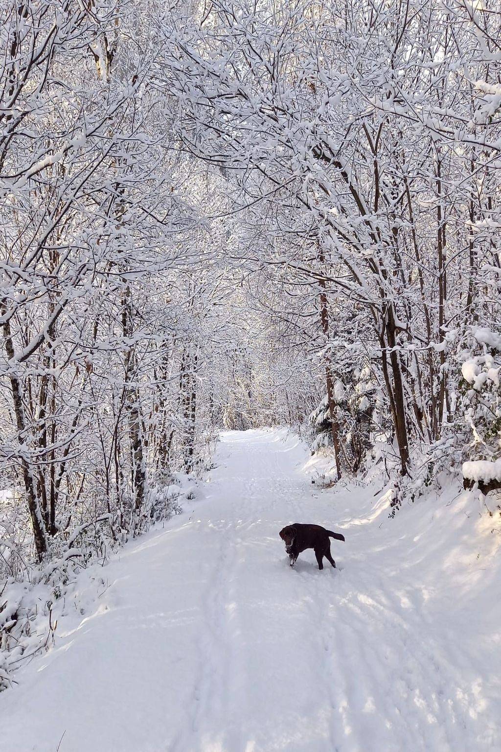 Rustico Raslina in Faido, Lepontinische Alpen