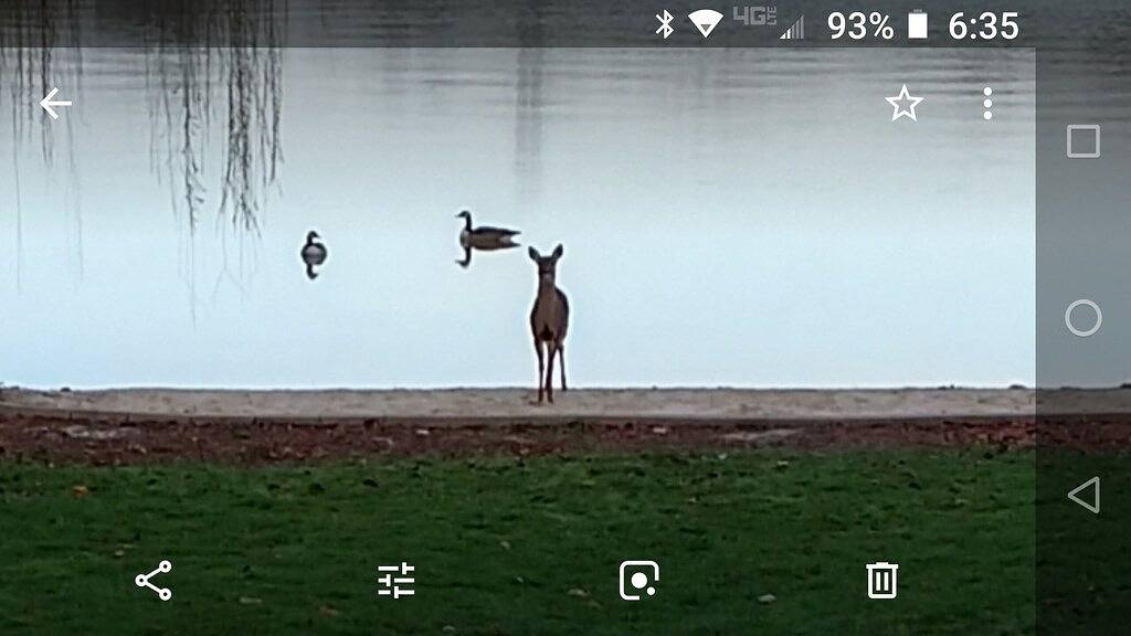Sunset Serenity / Kayaks inklusive / Feuerstelle am Strand / Angeln am Pier in Lake Norman